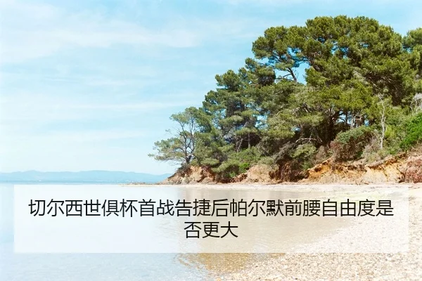qie-er-xi-shi-ju-bei-shou-zhan-gao-jie-hou-pa-er-mo-qian-yao-zi-you-du-shi-fou-geng-da-2-439.jpg