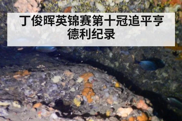 丁俊晖英锦赛第十冠追平亨德利纪录